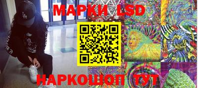 гашик Шебекино