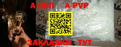 ешки Кингисепп