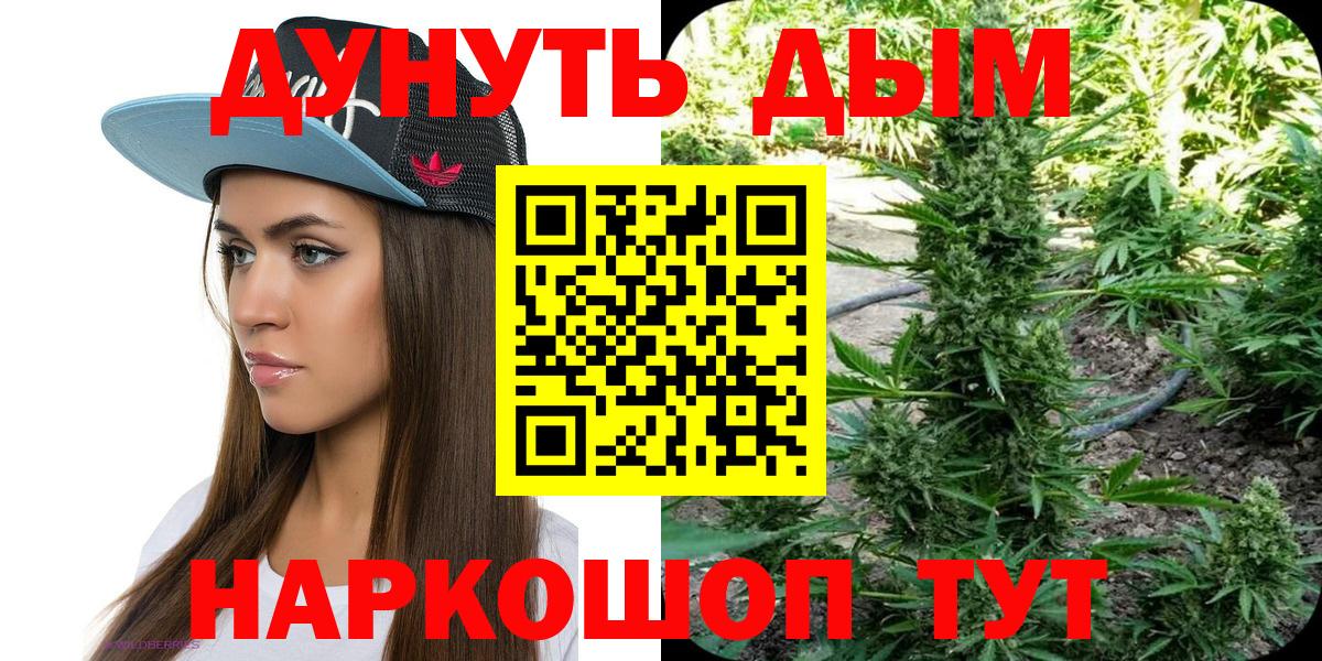 Качканар  Каннабис план  МАРИХУАНА THC 21%  Вход с VPN  Каннабис OG Kush 
